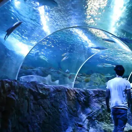 Del Parque Flats - Puerto Marina Διαμέρισμα *